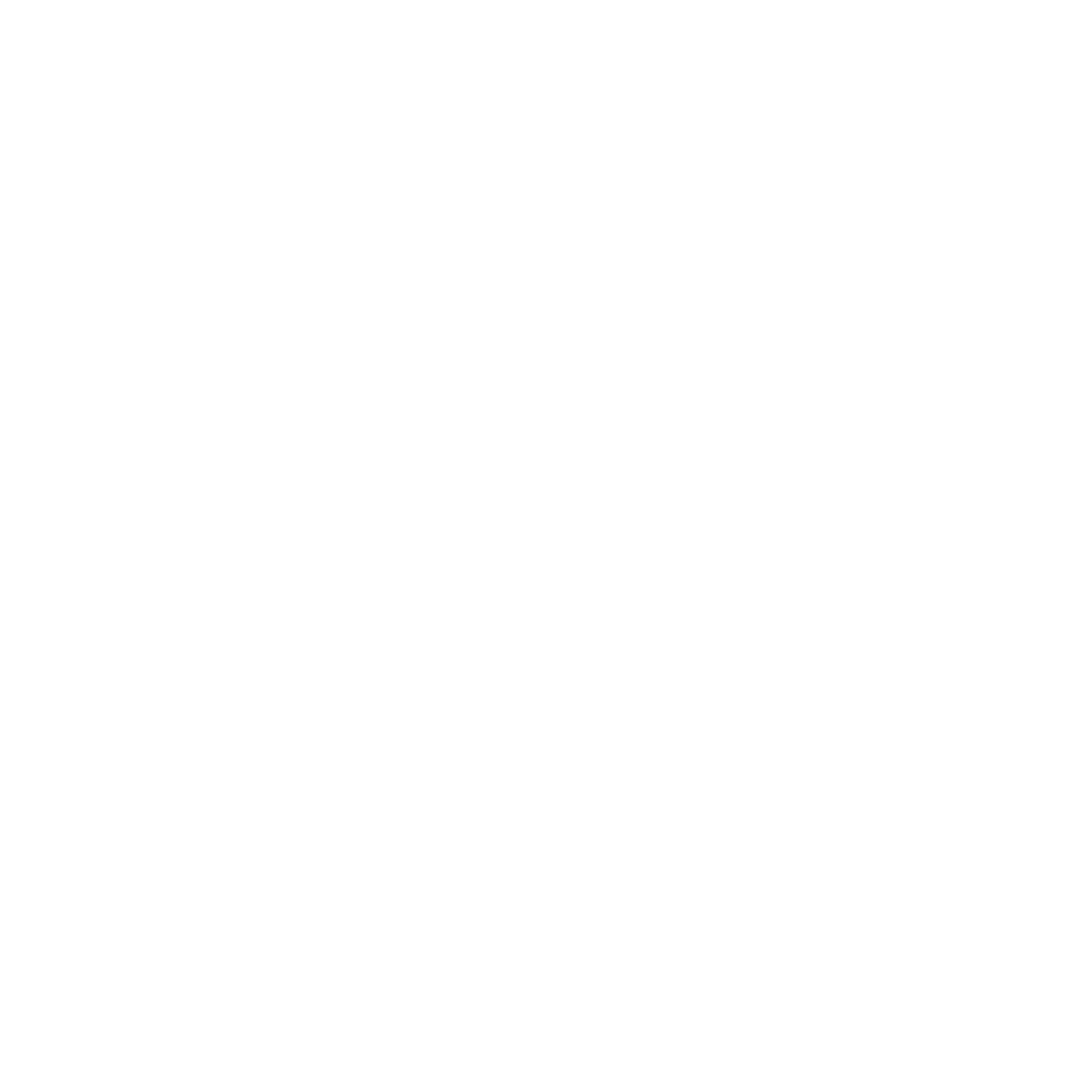 rijbewijs check
